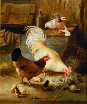 unknow artist Poultry 091 Spain oil painting art